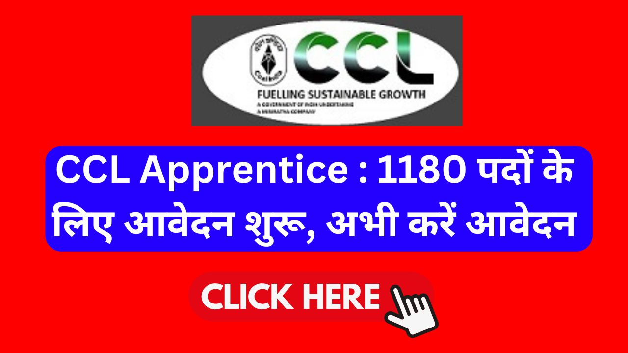 ccl-apprentice-recruitment-2024