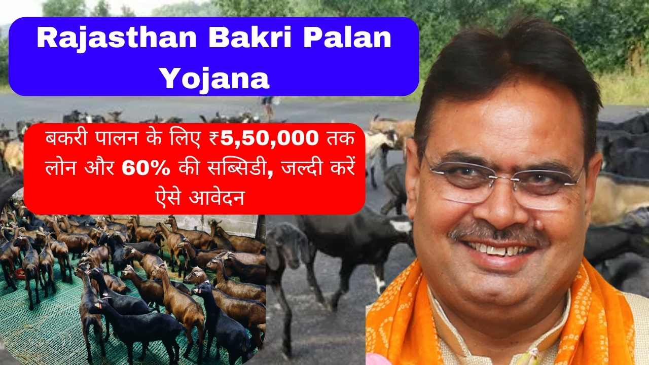 Rajasthan Bakri Palan Yojana 2024